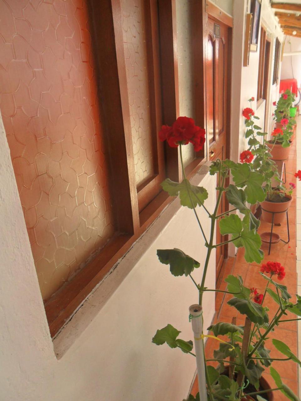 Casa 7 Cusco Ξενοδοχείο Εξωτερικό φωτογραφία